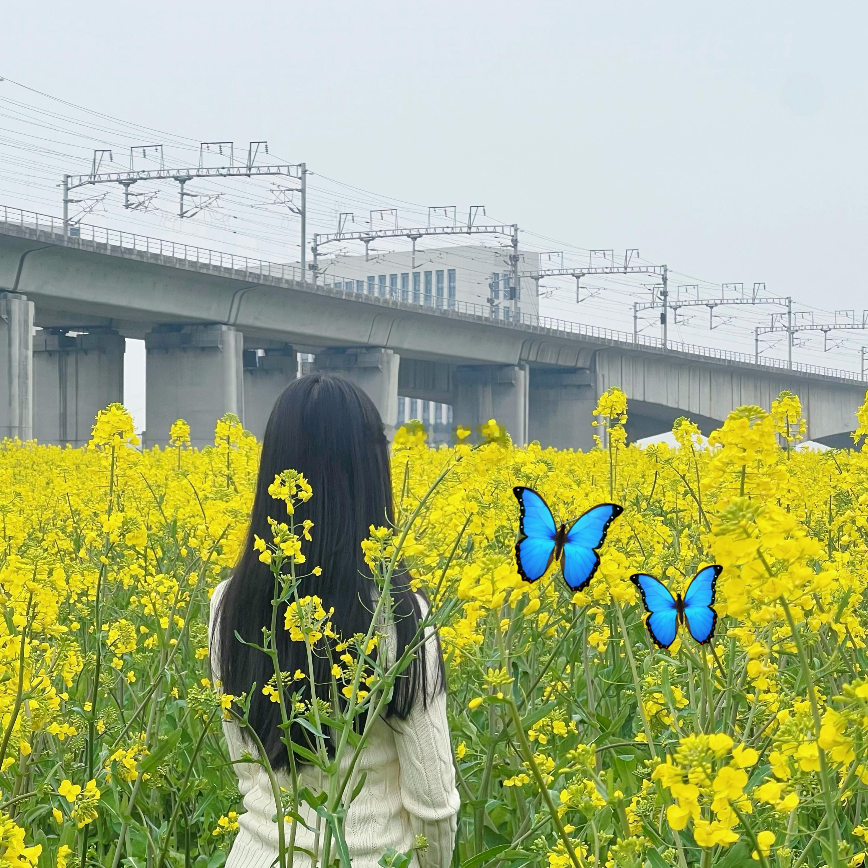花田里犯了错🦋🌼🐝 杭州·平澜路/飞虹路(路口)