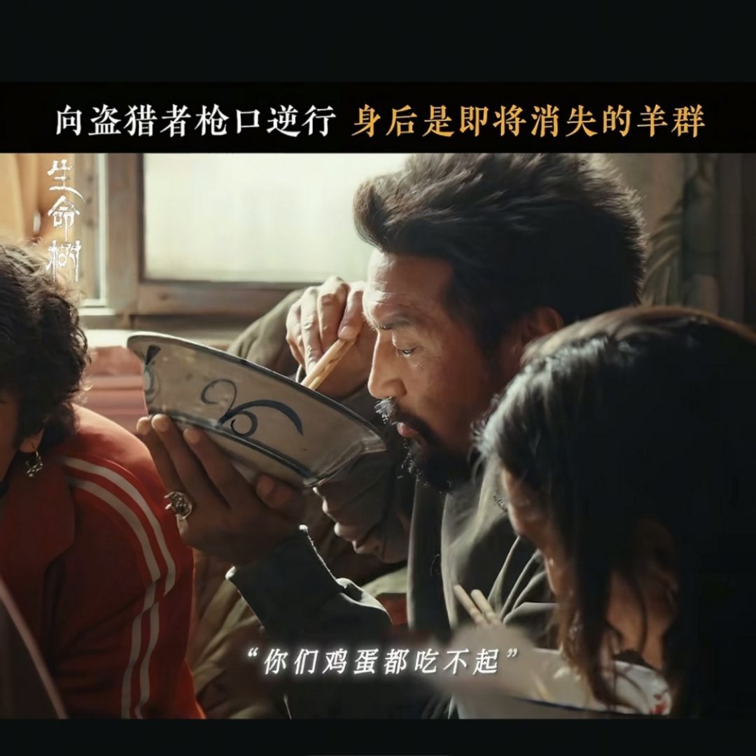 电视剧生命树我去给巡山队送鸡蛋🥚 