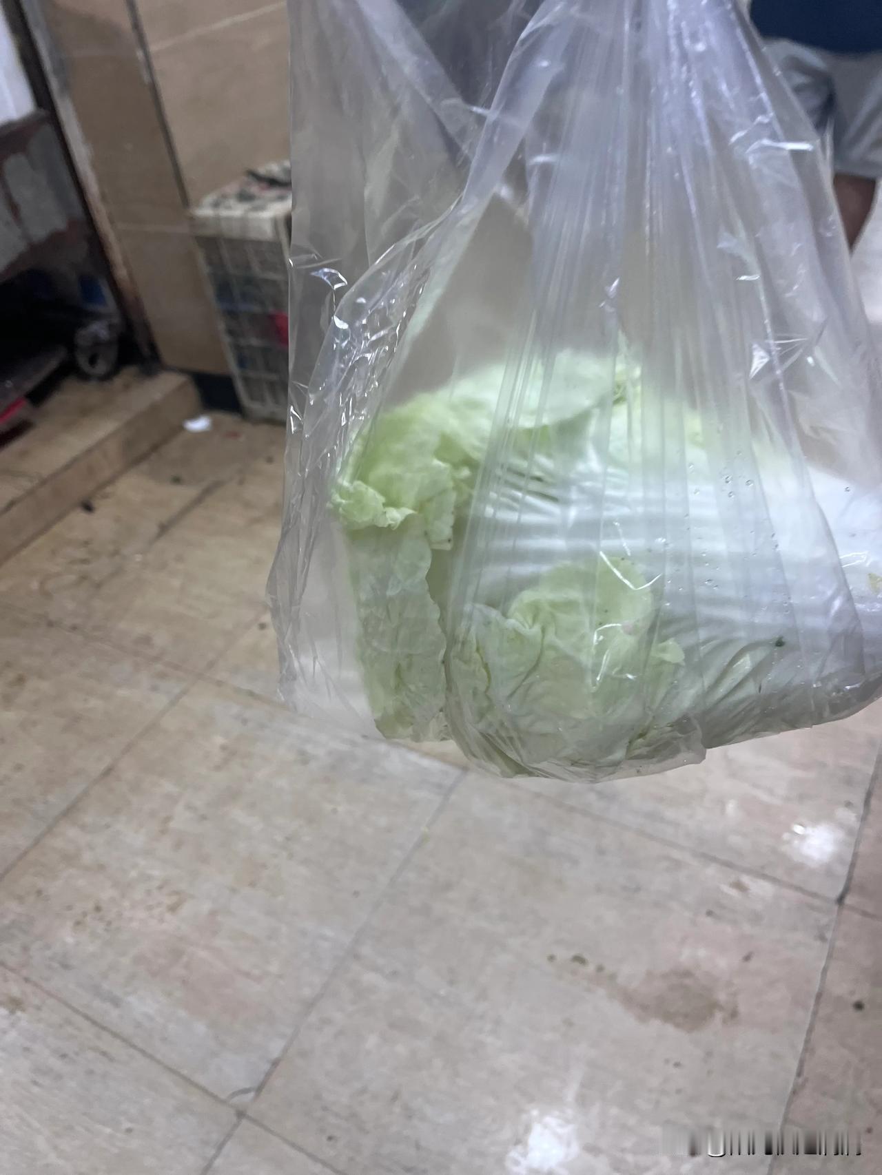 菜价太贵了吧
这一颗夏洋白，也就是白菜，买了7.9元，就一斤多一点。
空心菜7元