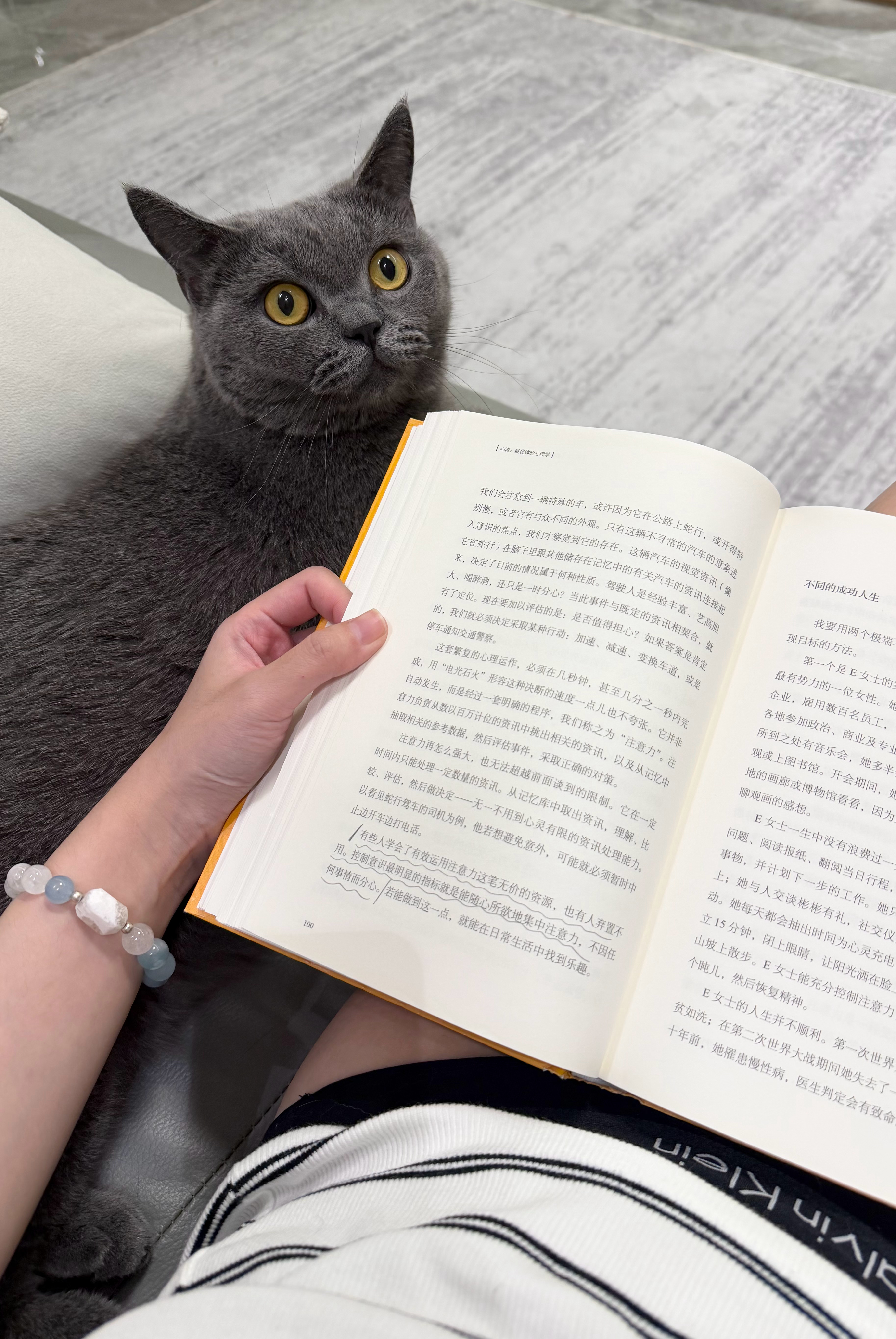 打算在自己身上拿大结果 ​​ ​​​