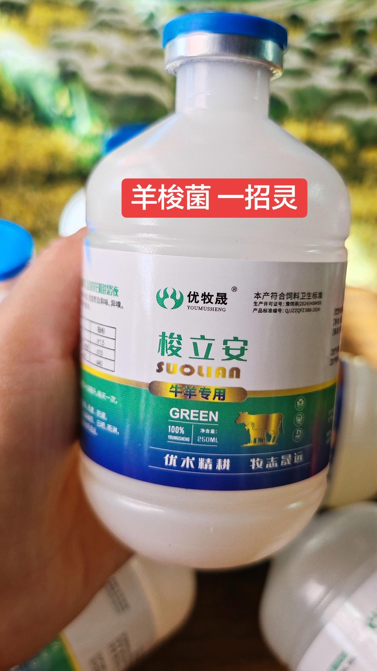 养羊人 农村养羊 牛羊养殖