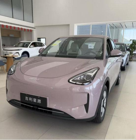 终于看到了最近超火的26款星愿！配置太戳我了想买纯电小车，纠结了好久，今天去4S