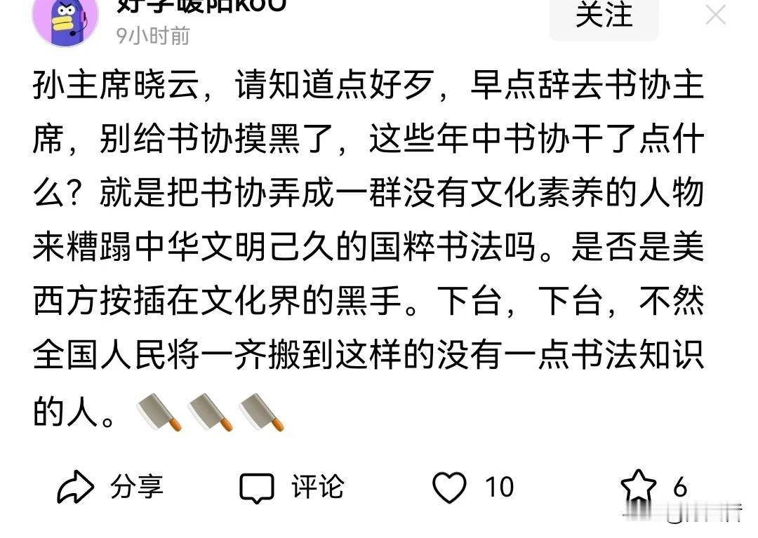 这个时候，山东济南的书法网友发文让中书协主席孙晓云早点辞去书协主席。这一届书协主