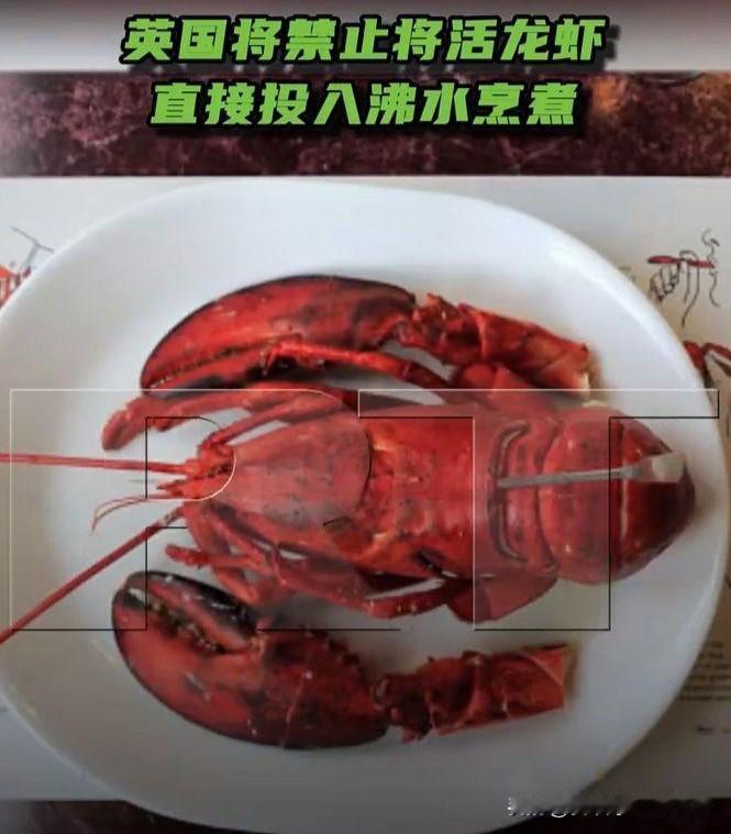 12月23日，英国环境食品与农村事务部发布战略文件，将活煮龙虾、螃蟹等十足目甲壳