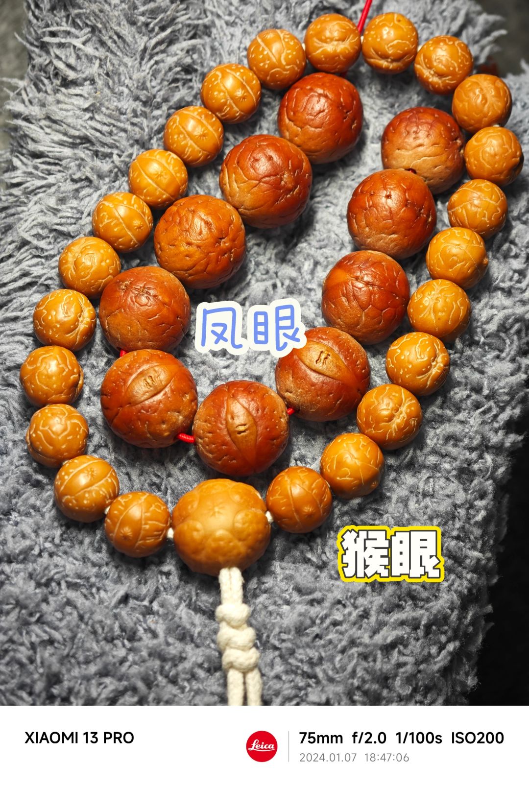 NO.355 凤眼：糟糕！我成替身了！