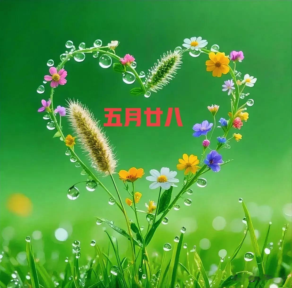 不是迷信！今日五月廿八，建议“1要看，2要吃，忌3样”，别大意
 
古语云：顺天