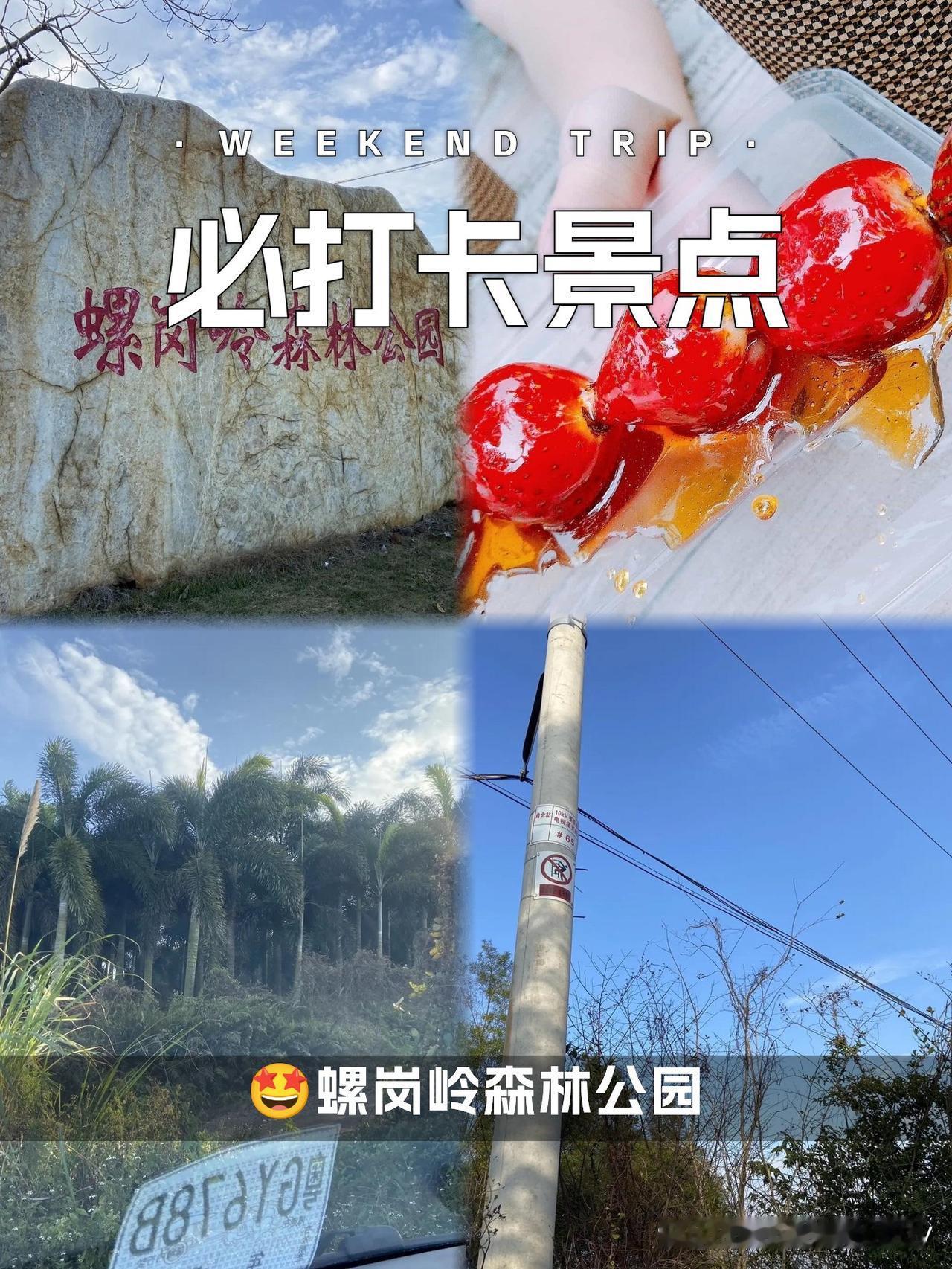 湛江小众秘境｜螺岗岭森林公园全攻略

在湛江发现了一处人少景美的天然氧！藏在城市
