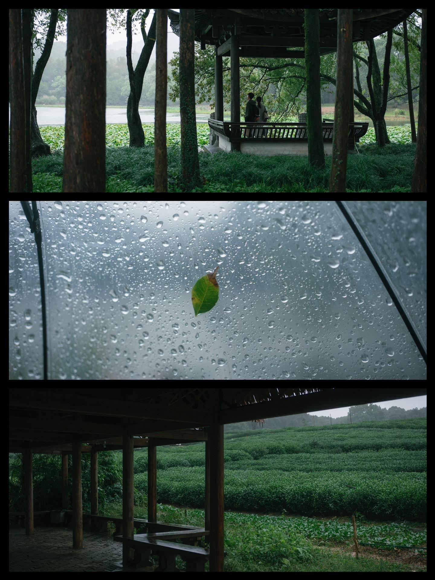 阴雨天的杭州才是真正的杭州