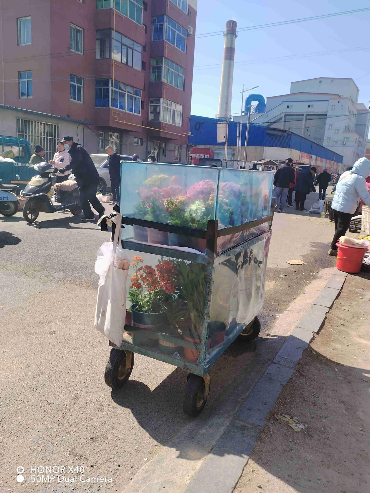 我的今日状态：😁轻松愉快
我这里的天气：☀️晴天

今天又去市场了。