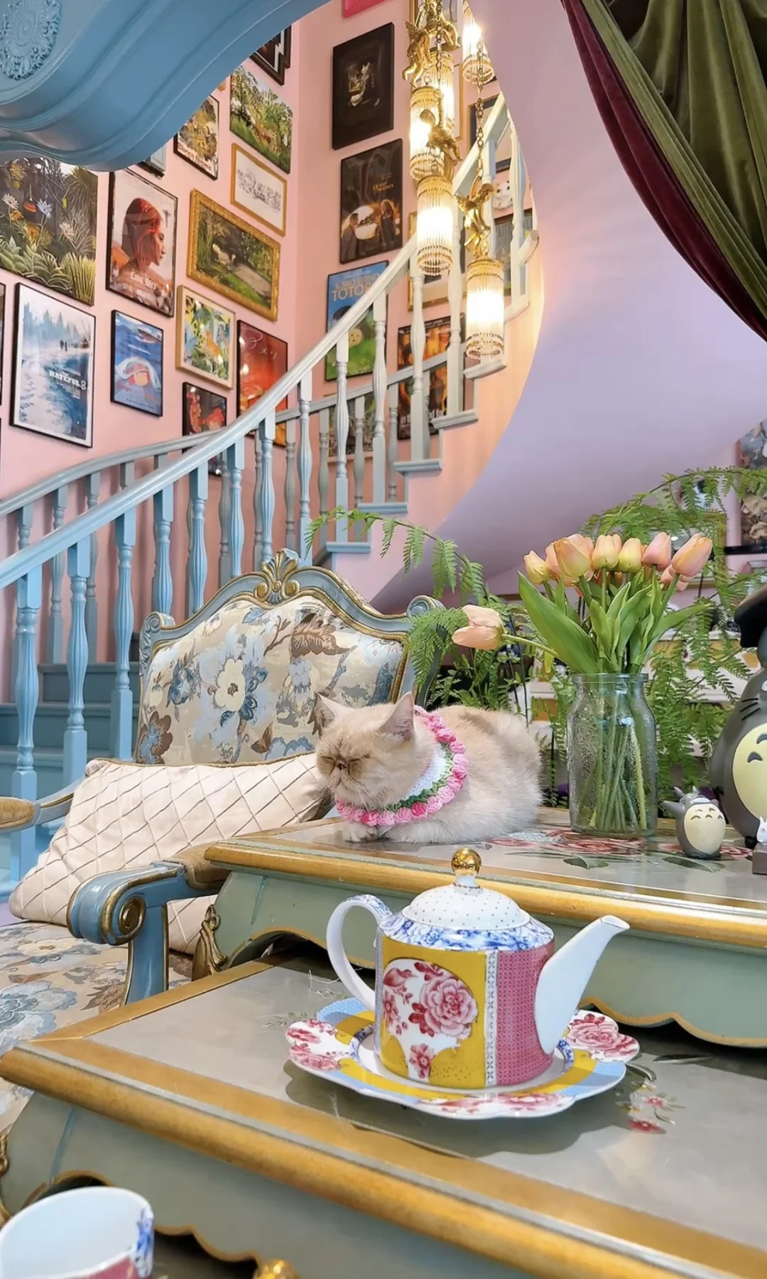 只有全屏才装的下我家🤣