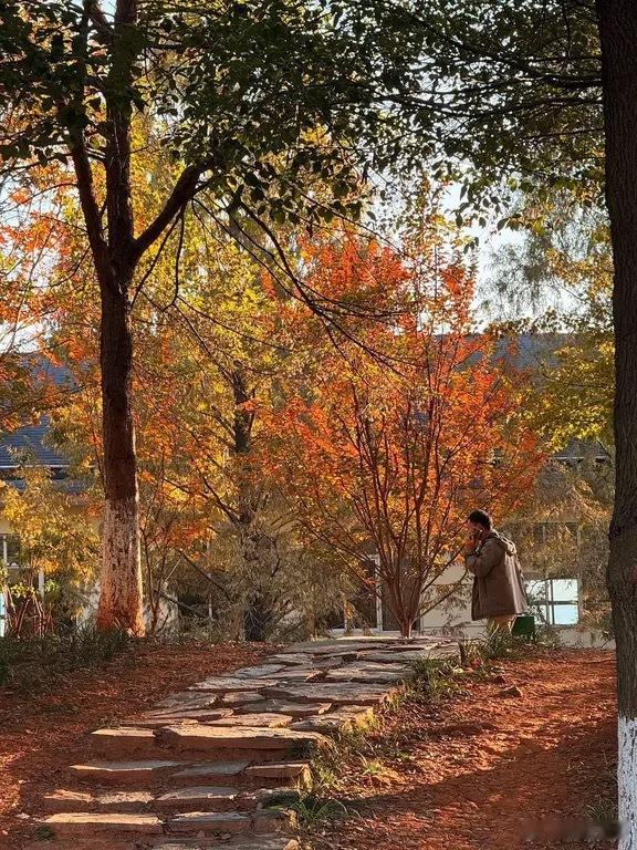 近期随拍，生活中的细节