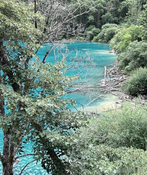 烟雨九寨，碧水凝翠，一山一湖，皆是仙境～ ​​​
