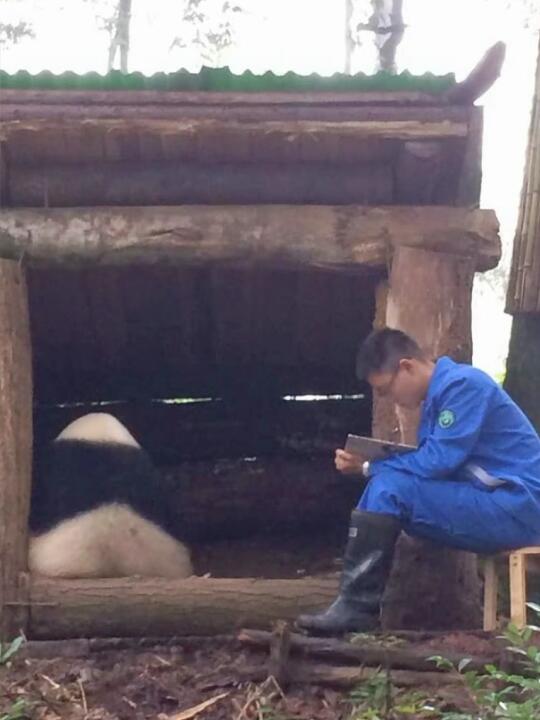 陪张卡待产，论黑饿势力的诞生…