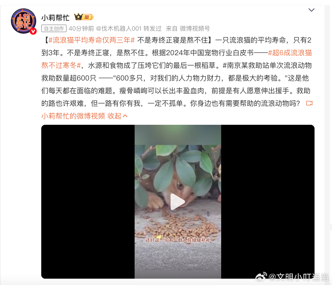 媒体们整天扇阴风点鬼火，宣扬关爱投喂流浪猫，搞到居民们苦不堪言矛盾激化，又有素材