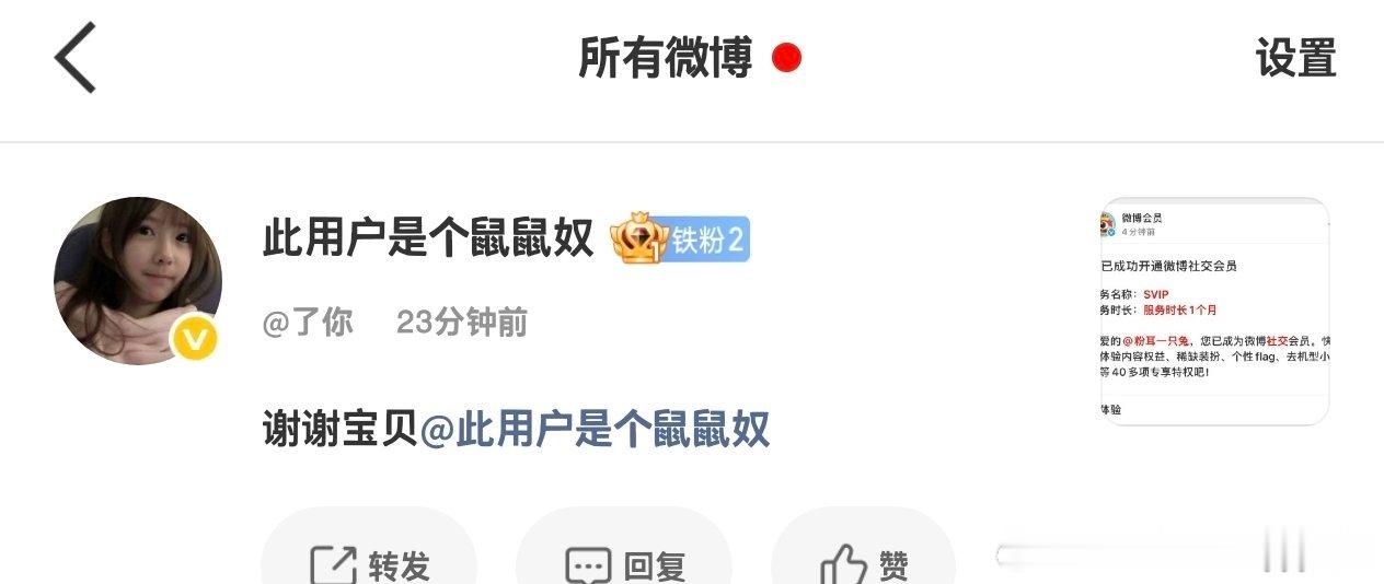 鼠鼠大军