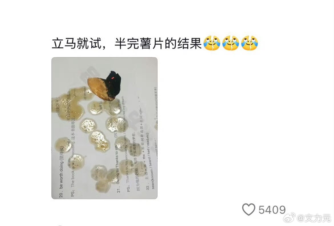 爱吃薯片的人天塌了，这有啥天塌了的呀，薯片本来就是油炸的呀，当我决定要吃薯片的时