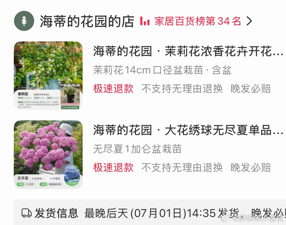 老手艺人准备上线！！！摩拳擦掌