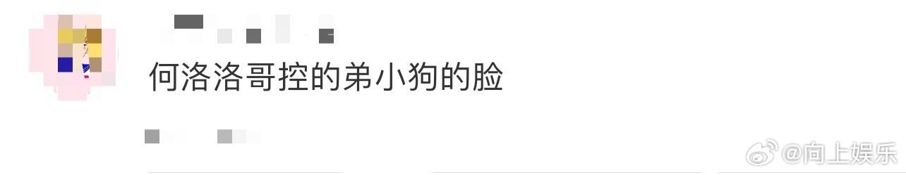 何洛洛哥控的弟小狗的脸 童双这哥控模样被何洛洛演得真好，“大哥”出现比逗号勤，眼
