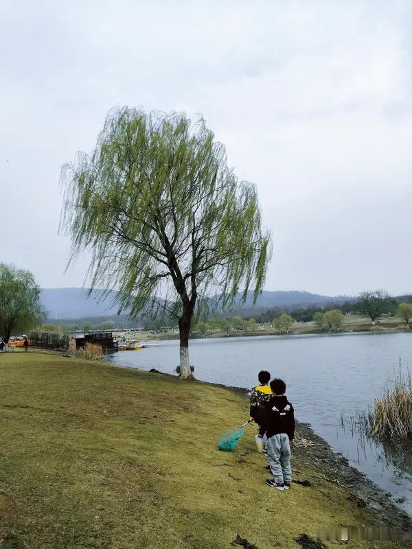 记得初中的时候
那时候正到了四月末
正是出门游玩的好时候
我们年级商量想去附近景