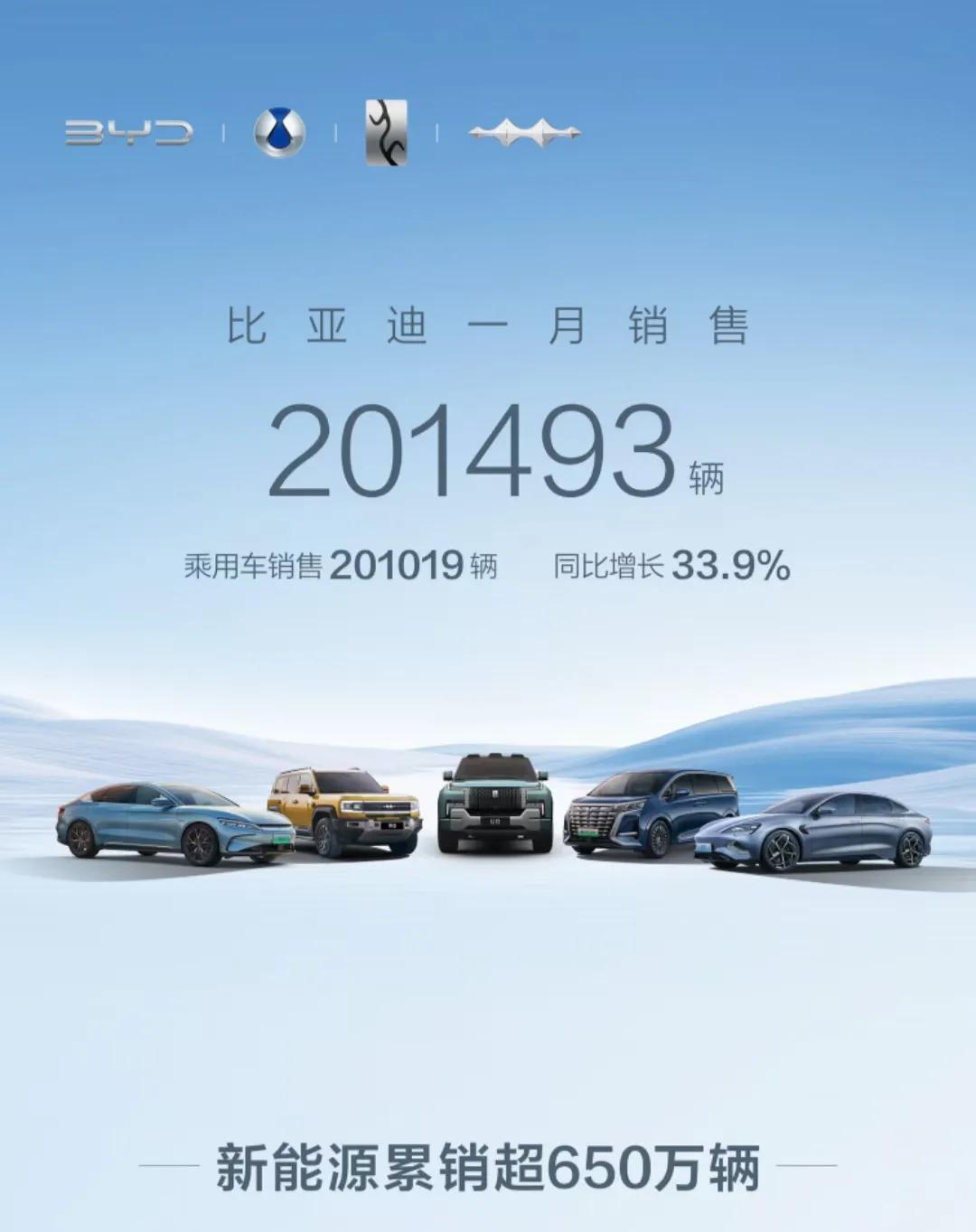 比亚迪一月份的销量出来了，中规中矩，突破20万，已经足够了，国内每个月保持这个成