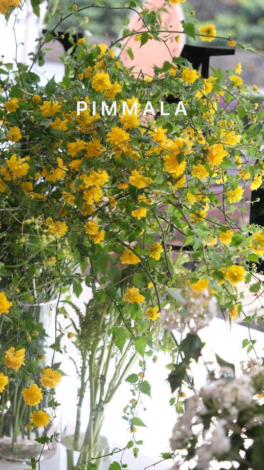 PIMMALA｜隶棠花
