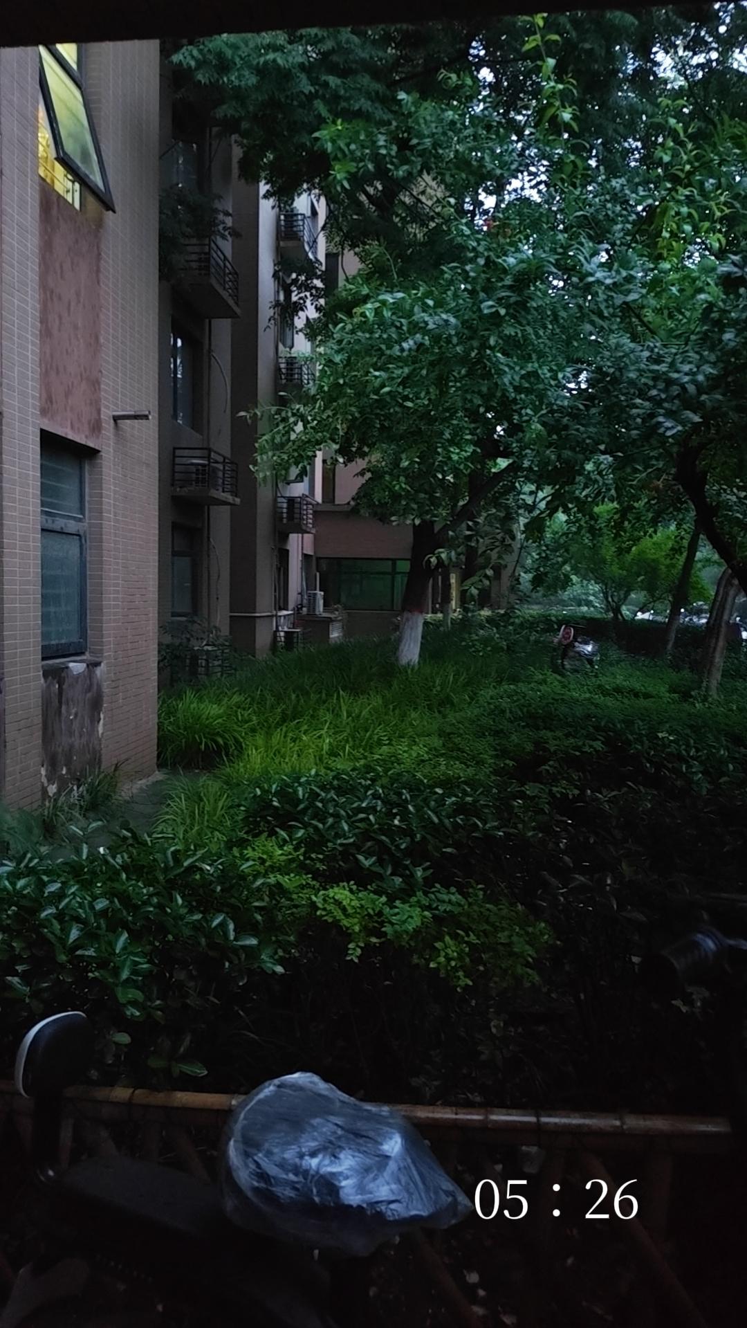 2026.5.17星期天
睡了一觉，就从杭州到郑州了。为了不影响侄子睡觉，我谎报