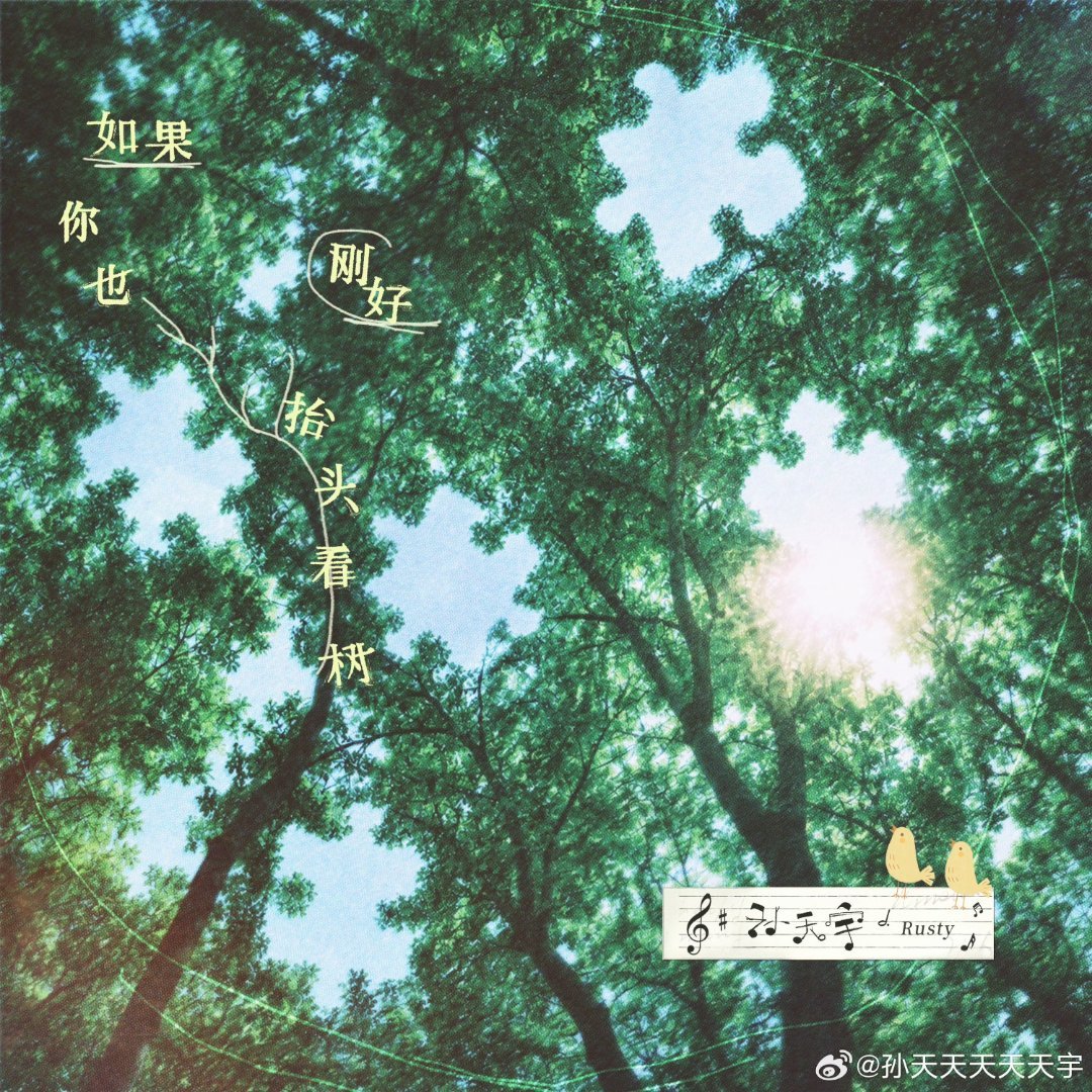 如果你也刚好抬头看树🌲 