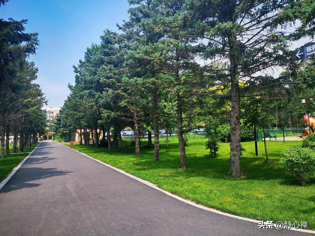 超慢跑第1天。11点40分开始，3公里，40分钟。
正午时光，热，明亮。
公园里