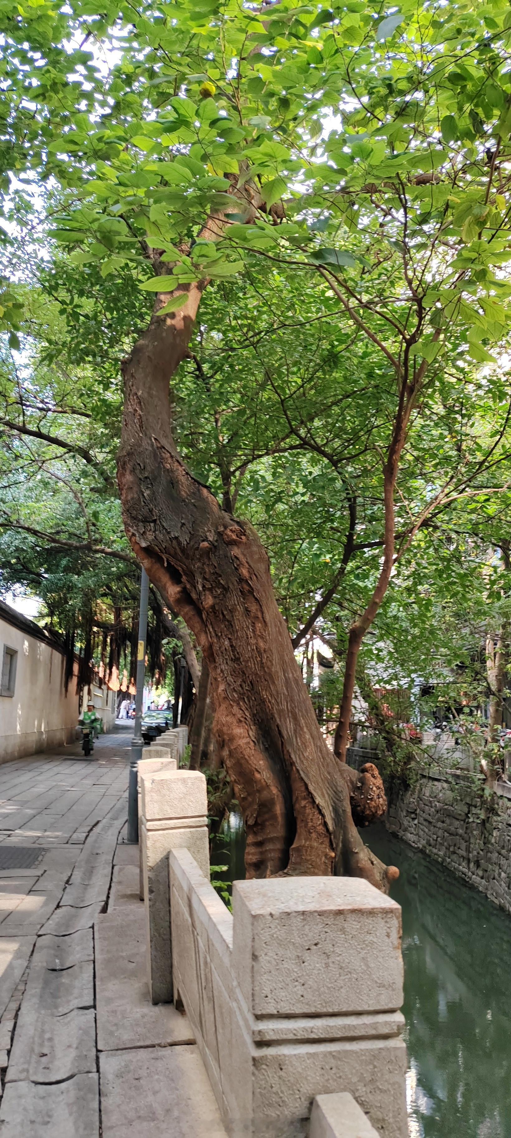 文化和旅游部五一假期出游提示五一出游，安全第一！文化和旅游部温馨提示：合理规划行