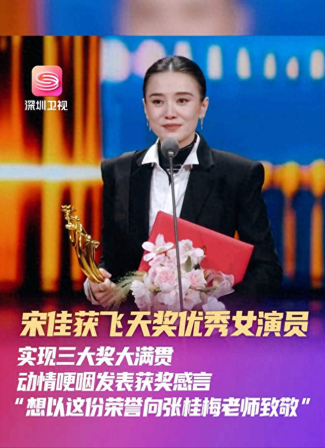 宋佳一个角色拿下三大奖，这个难度被严重低估了