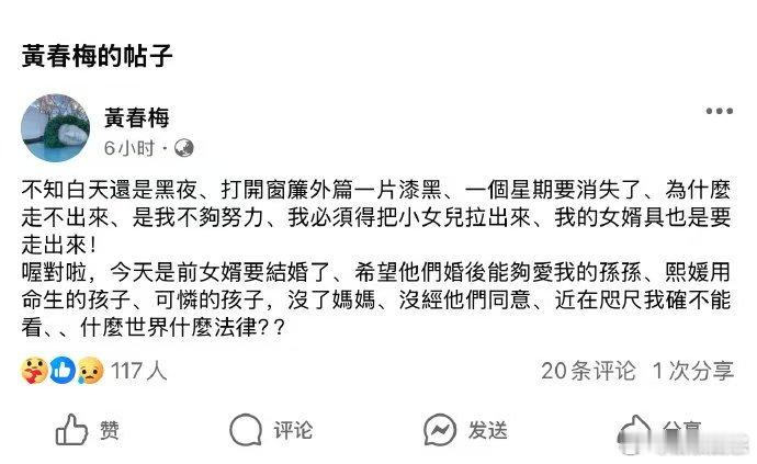 S妈说没经前女婿同意不能看孩子 S妈希望他们婚后能够爱我的孙孙，前女婿不是挺爱孩