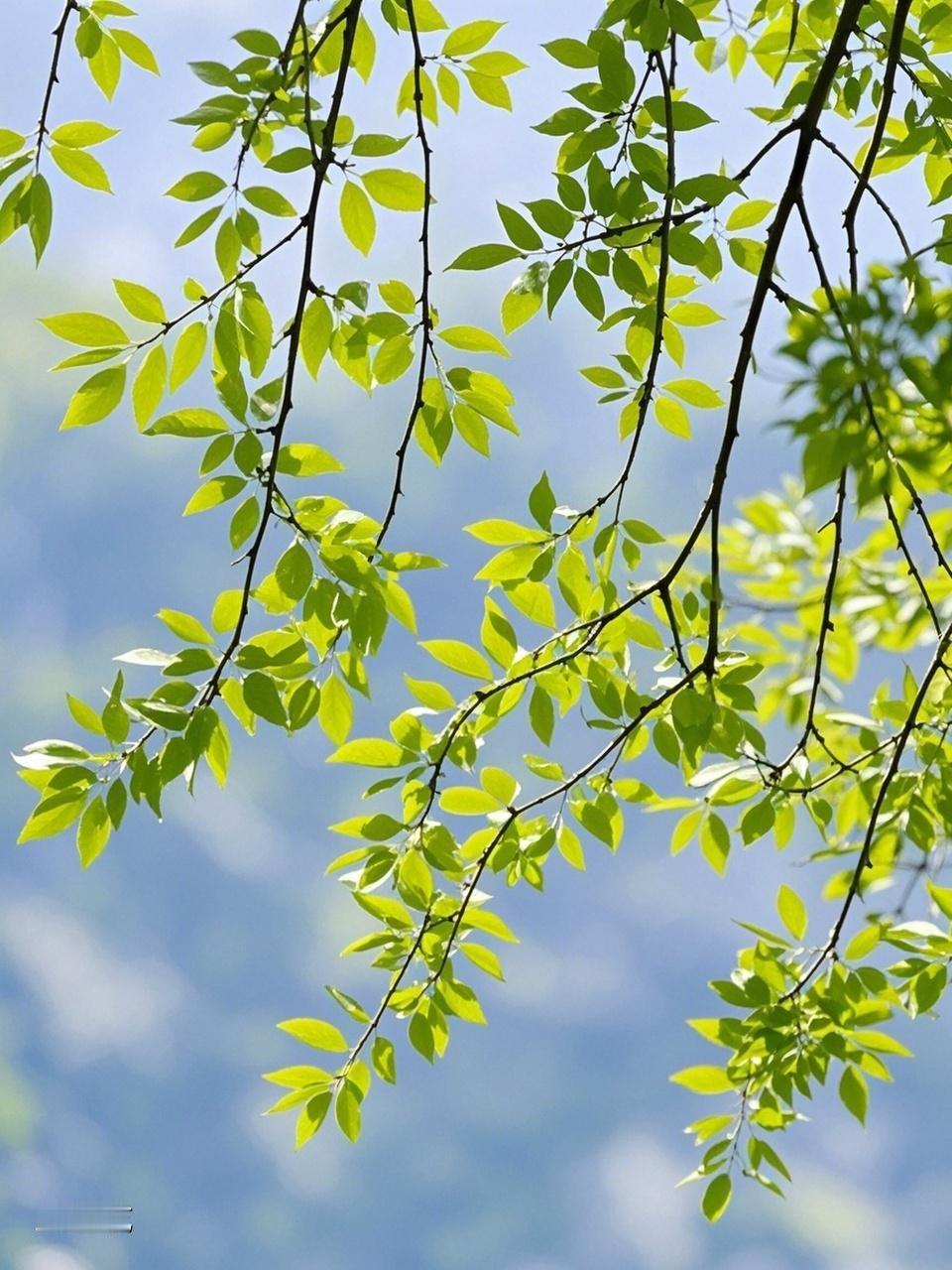 看到“秋雨无心敲落叶”这个上联，瞬间就被带入了那清冷又寂寥的秋景之中。我觉得“晚