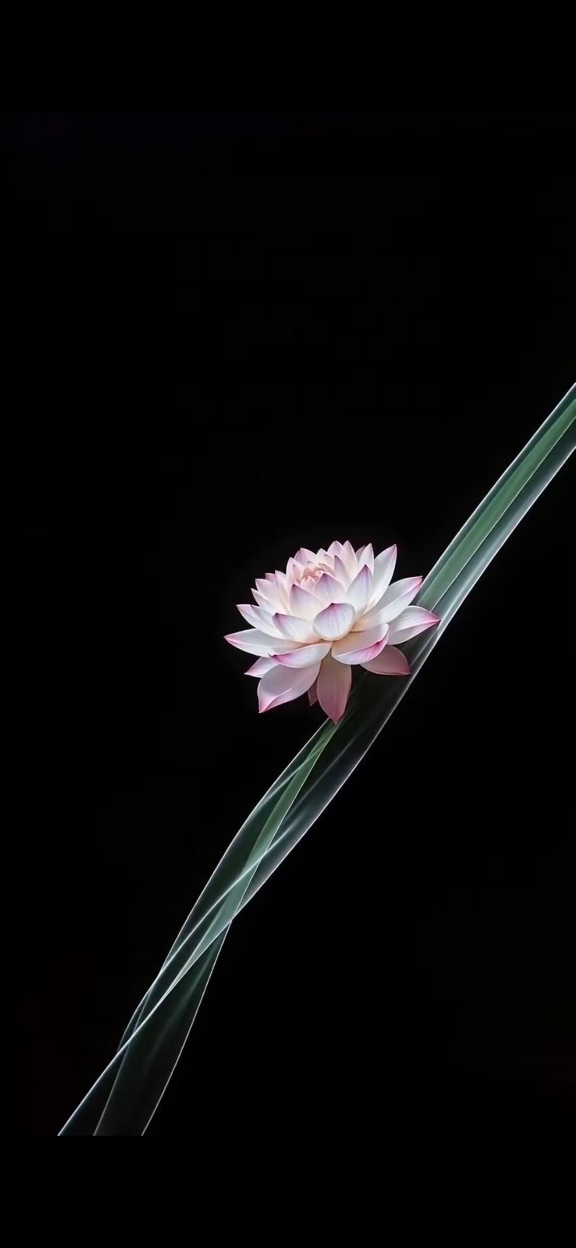 凡事不苛求，来了就来了；凡事不计较，过了就过了；遇事不皱眉，笑了就笑了；结果不强