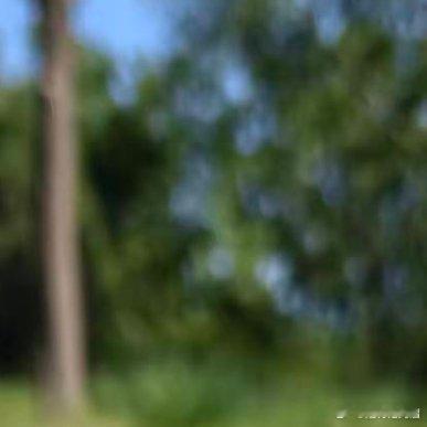 慢慢长大才懂，生活最通透的真相：人生从不是被谁救赎，而是一场温柔的自我成全。我们