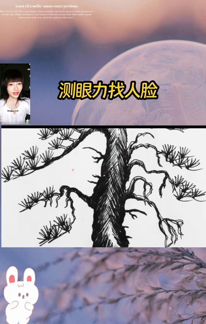 测眼力找人脸。
找出七个算及格，找到十个算优秀，能精准找出十三个绝对是眼力超强的