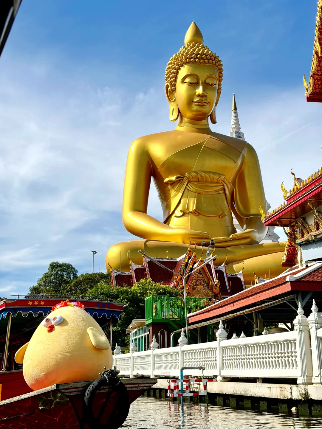 啊啊啊！！在曼谷水门寺🇹🇭偶遇了墩墩鸡！！