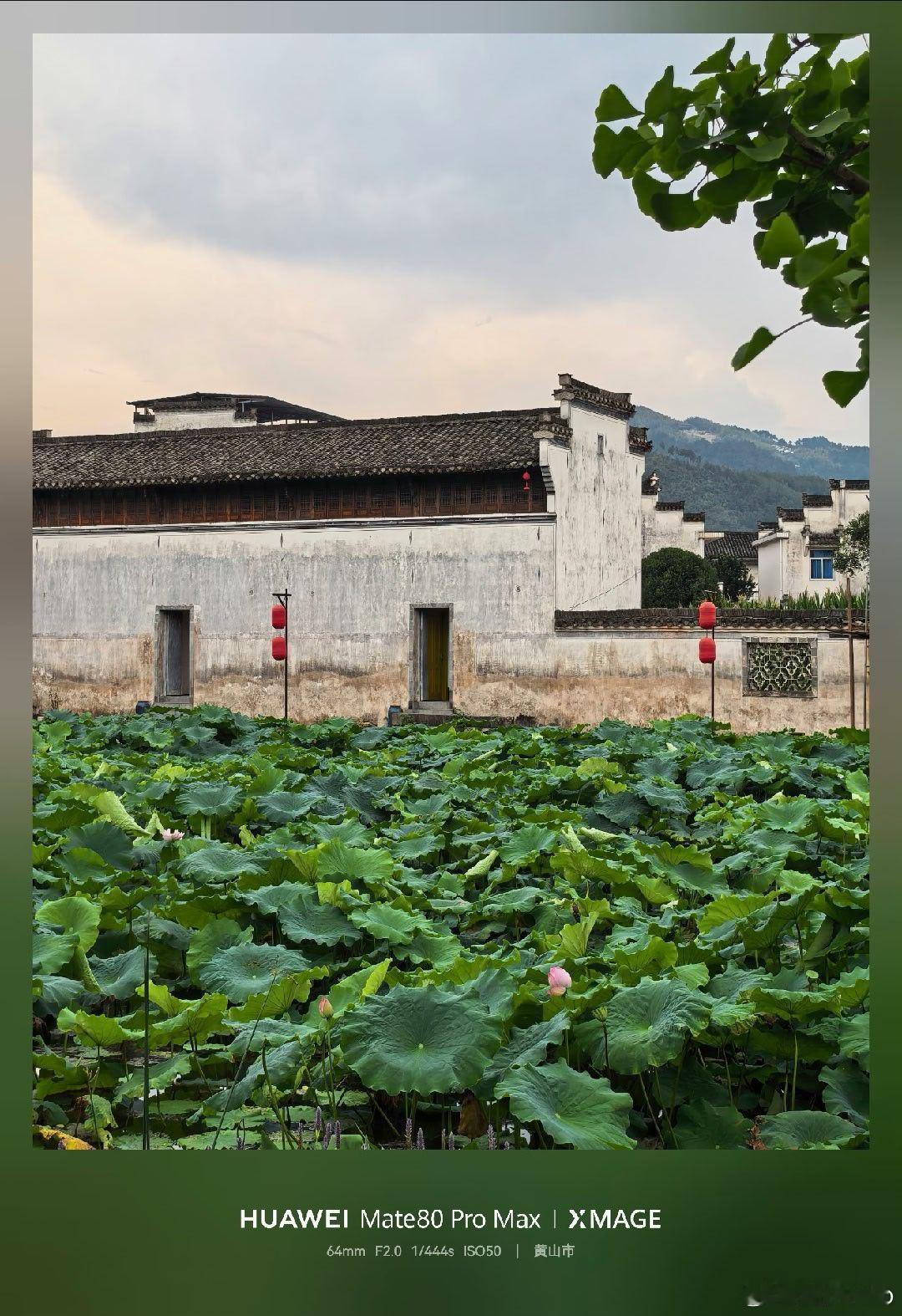 周末简单逛逛华为手机摄影 随手拍 黄山