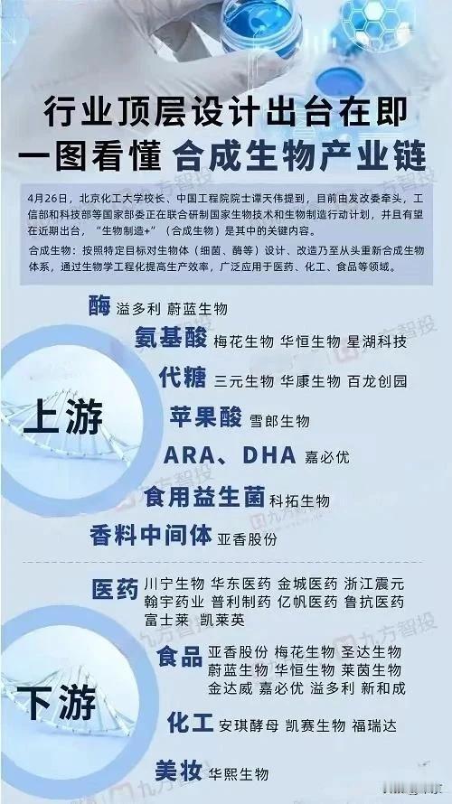 五一节后合成生物十多只股票涨停，同时，合成生物上的产业链已经挖掘到酶，氨基酸了，