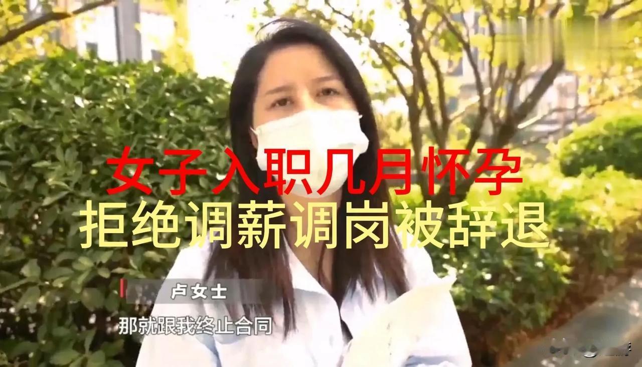 入职几月怀孕拒绝调薪调岗被辞退

盘点下各国入职怀孕的处理办法。入职怀孕合法，虽