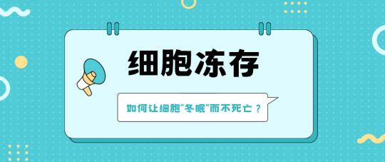 细胞冻存：如何让细胞“冬眠”而不死亡？