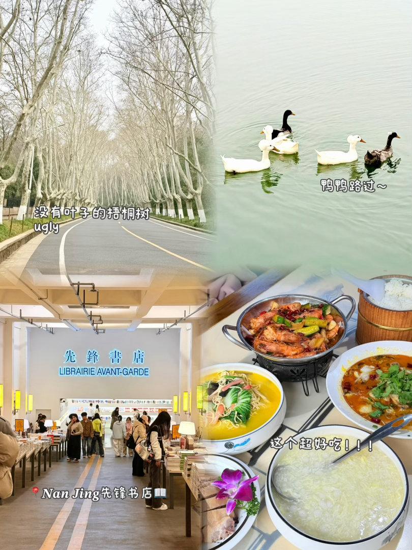 因为你出现让爱发酵悄悄的蔓延🐰 