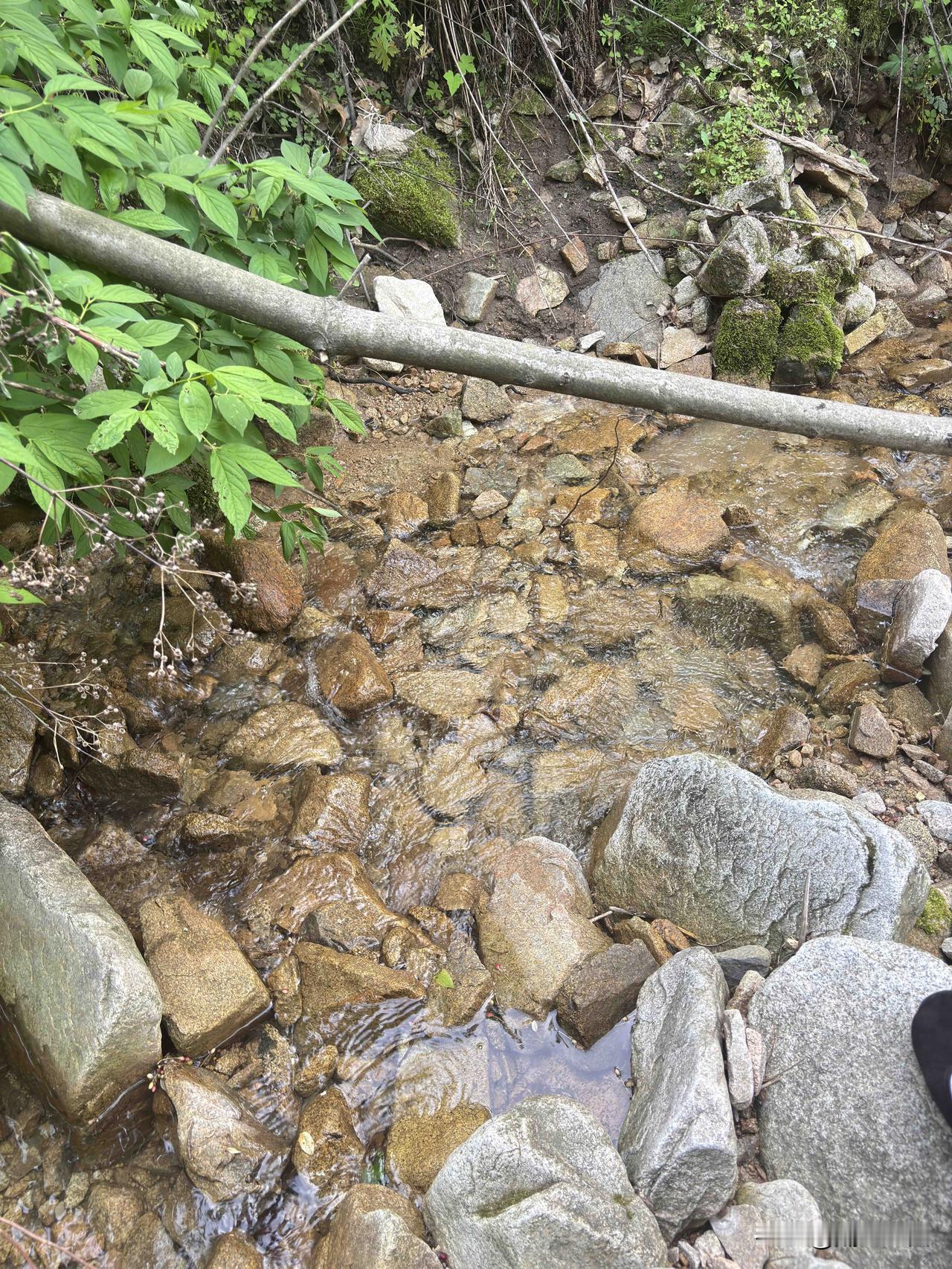 蓝田野竹坪村，这里夏天避暑好地方，这里最有特点的就是这个门楼，适合拍照留念。下去