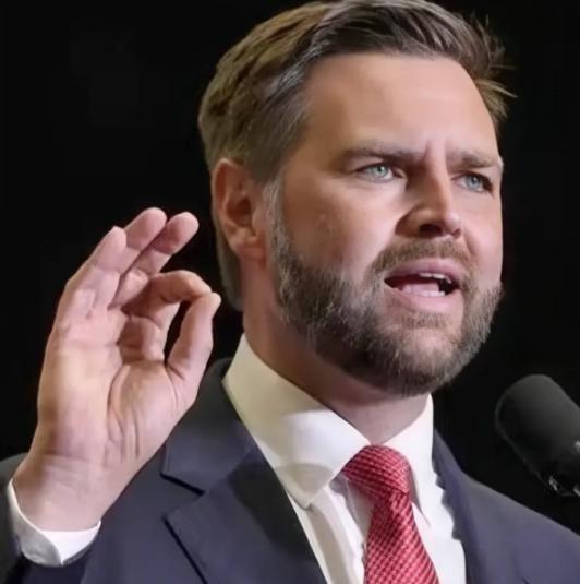 美国副总统的这番话，点醒了不少人，他表示美国强大是为了让全世界都被美国掌控，而中