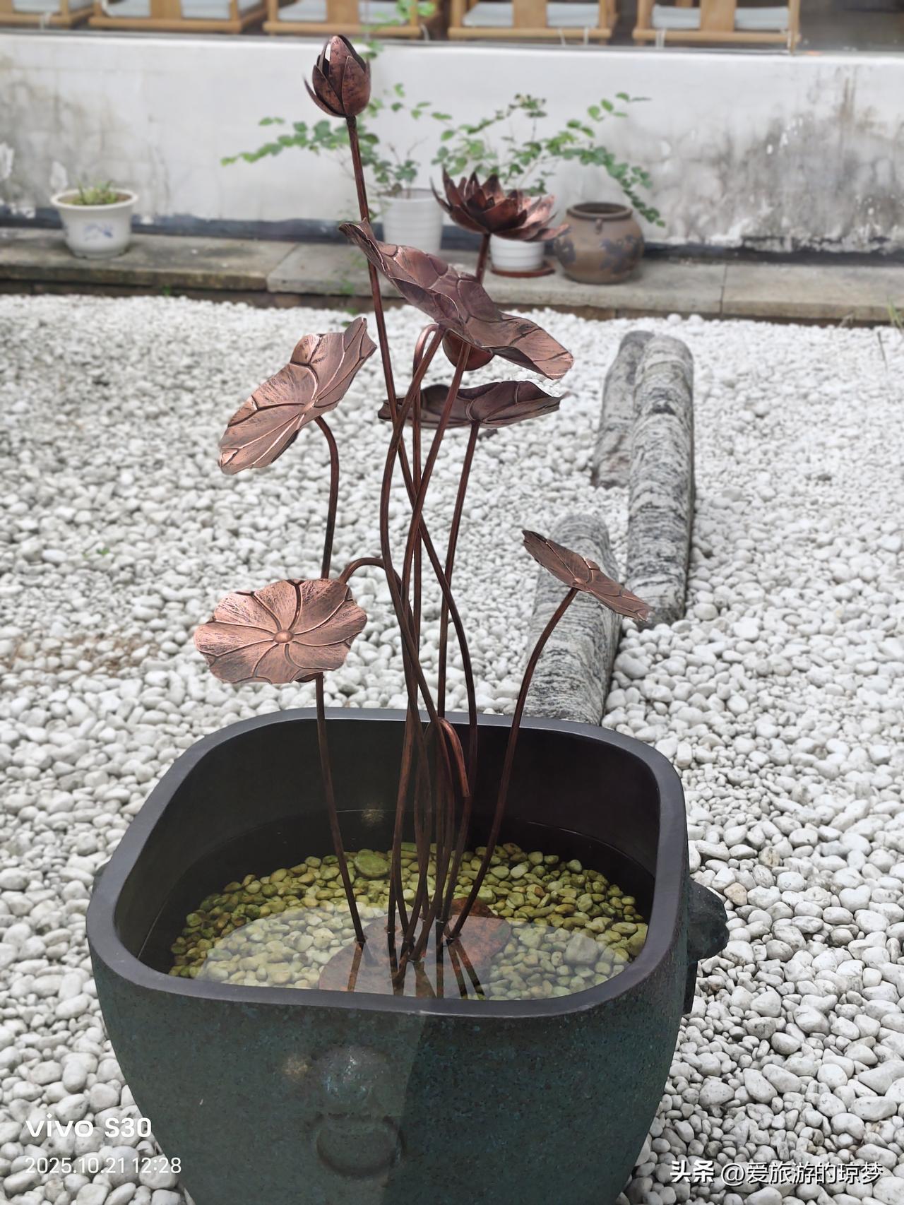 相册里最满意的照片