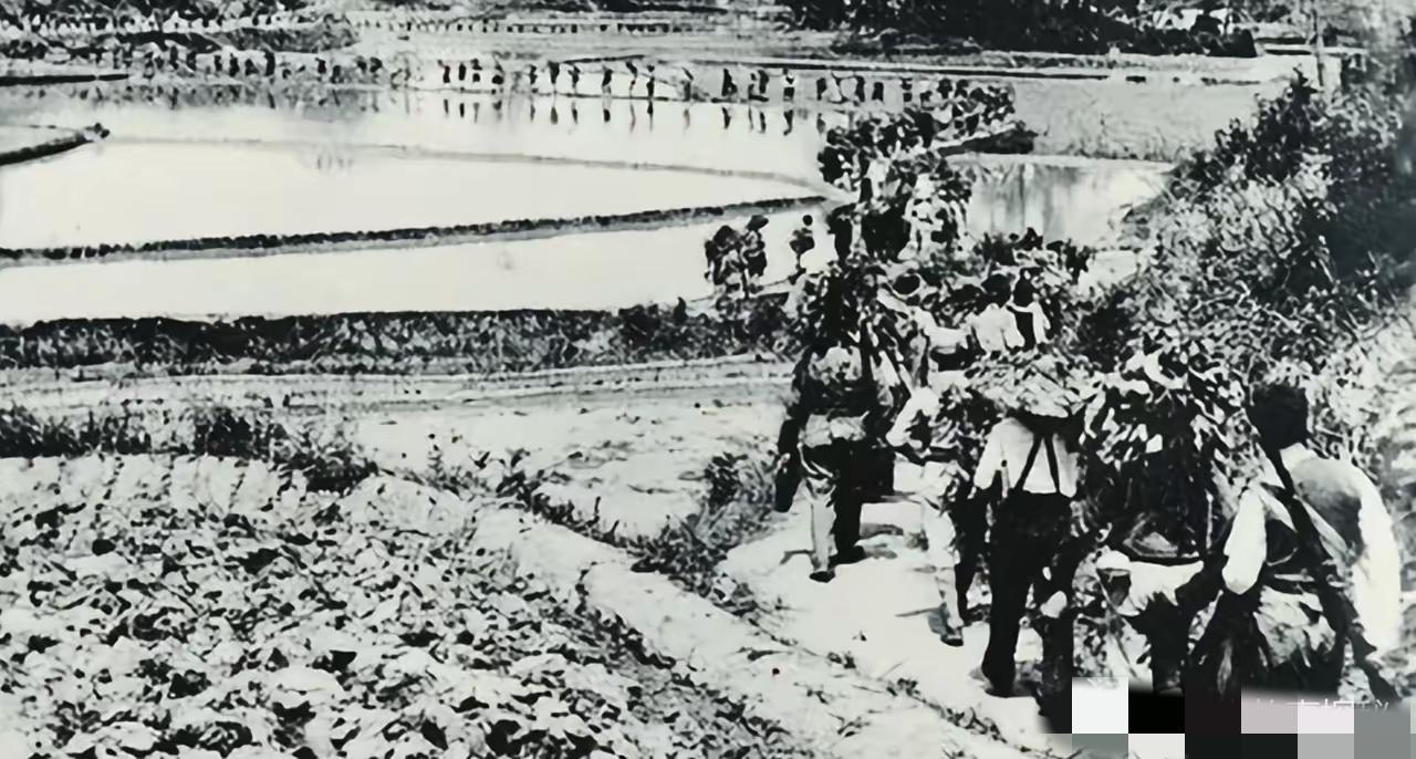1944年，老虎团七里长队行军，突遇哨兵狂奔报警：日军直扑团部！团长一看傻眼——