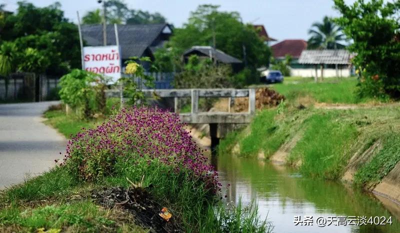 在泰国被抛尸水沟女子生前影像曝光 在泰国被抛尸水沟女子生前影像曝光 太让人痛心了