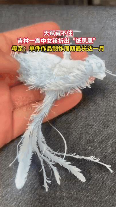 天赋根本藏不住！吉林一高中女生巧手折纸，栩栩如生的纸凤凰惊艳众人。指尖生花，普通
