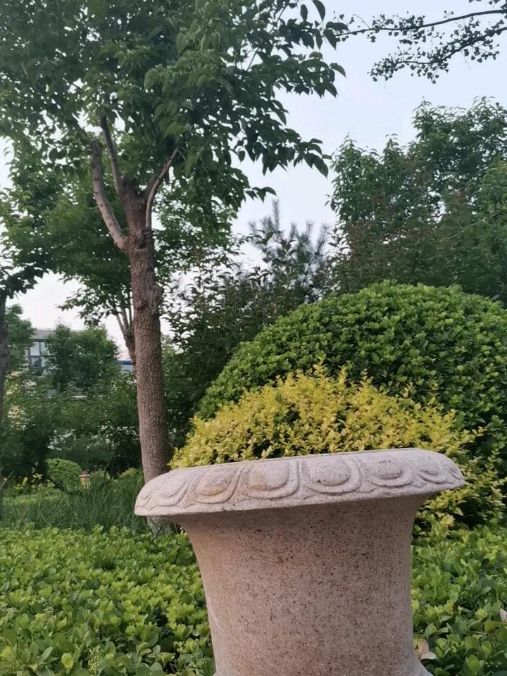 园林的艺术，
在于一花一草！

公园治愈系美景 公园风光掠影 园林风光随手拍