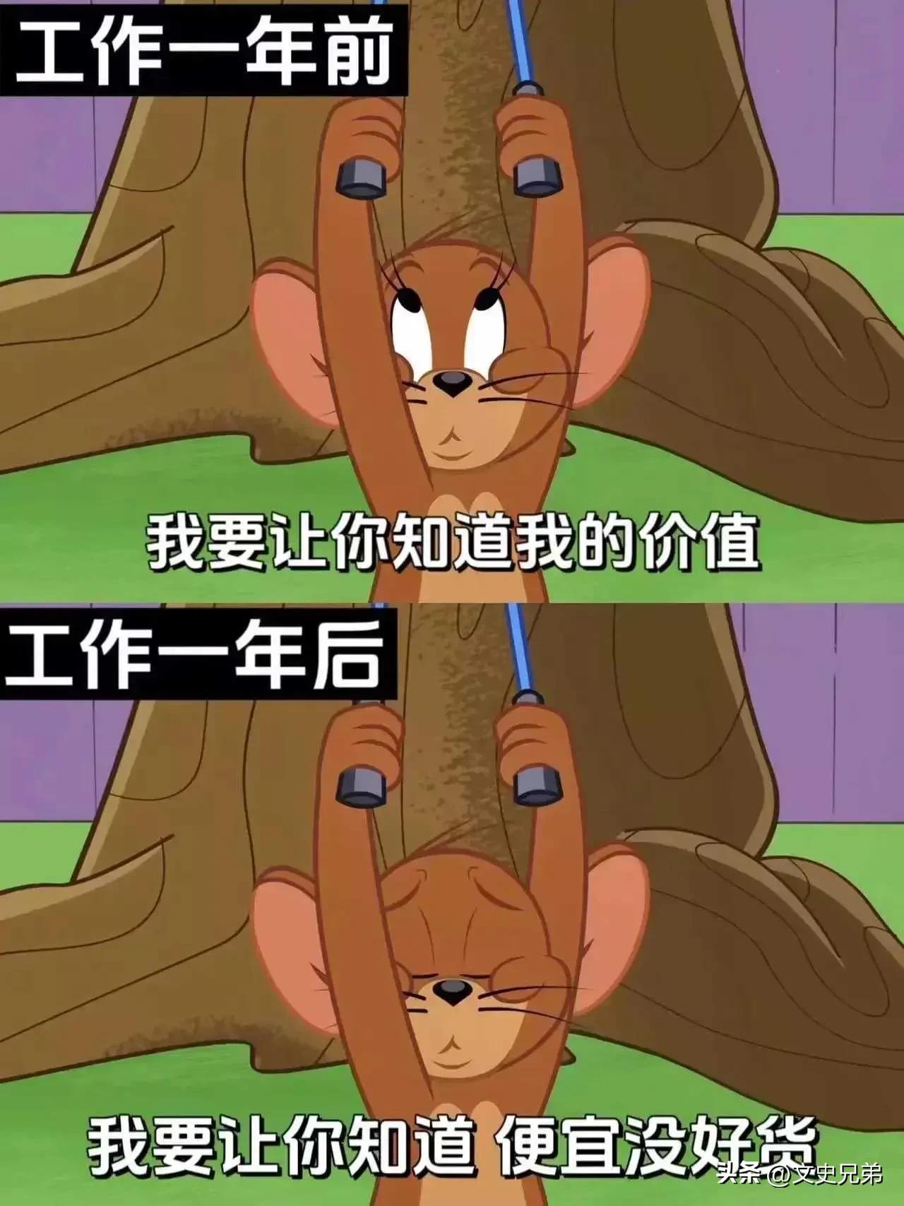 
工作几年了。
我都成为老油条了！
看来杰瑞鼠更了解我啊！
全中！