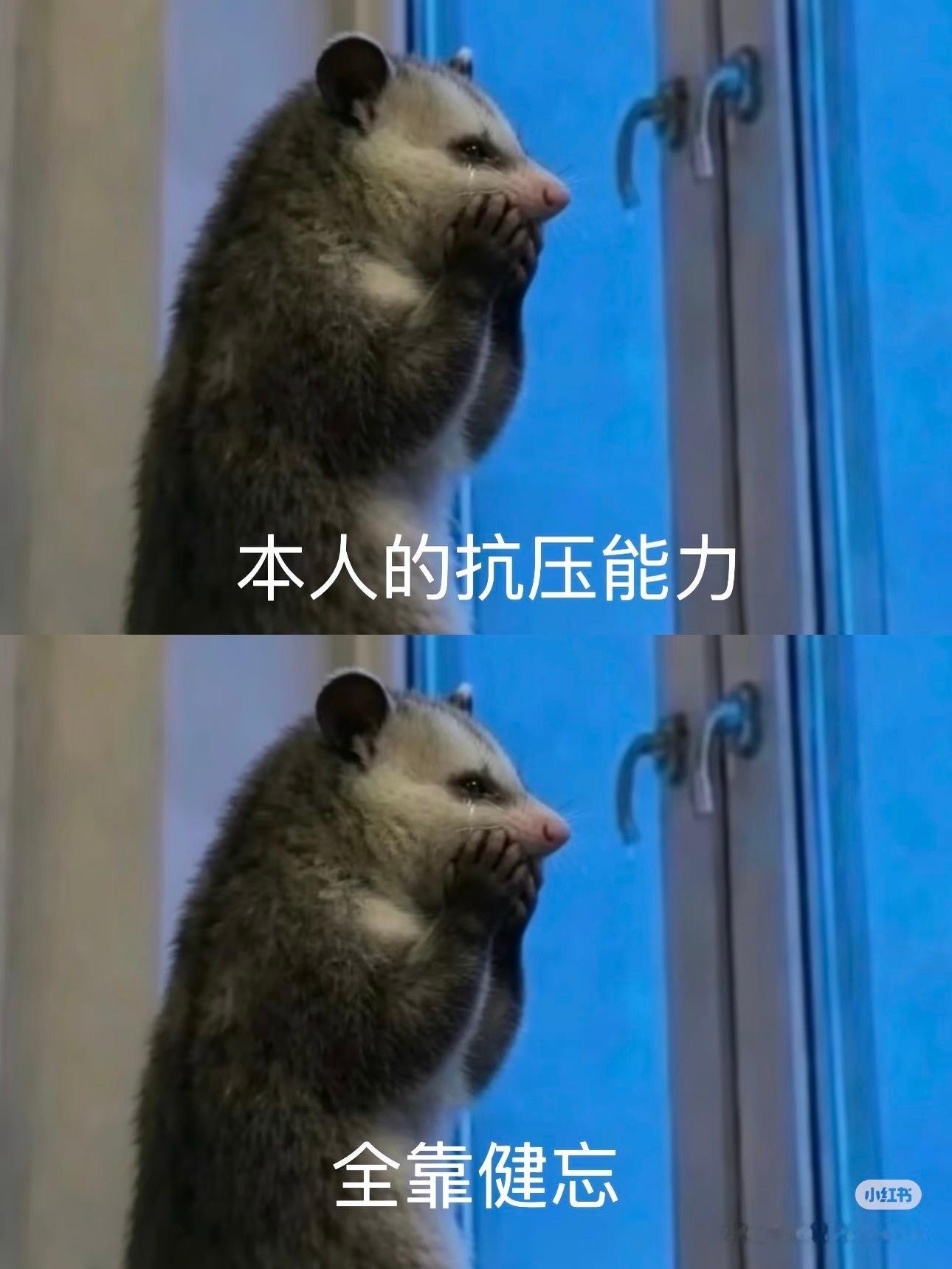 看来今天不会有动静了晚安吧